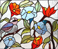 Passerotto 56x47