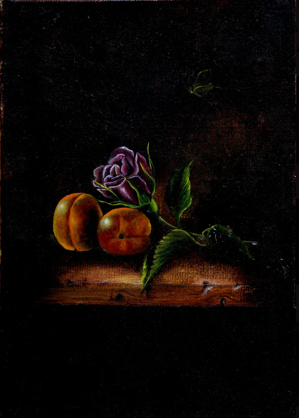 nature morte aux abricots 27x19 création